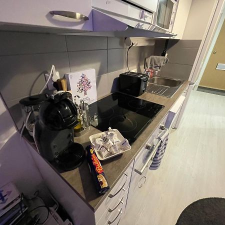Arctic Penthouse Studio With Free Parking And High-Speed Wi-Fi Rovaniemi Ngoại thất bức ảnh