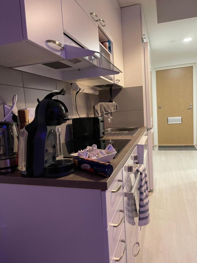 Arctic Penthouse Studio With Free Parking And High-Speed Wi-Fi Rovaniemi Ngoại thất bức ảnh